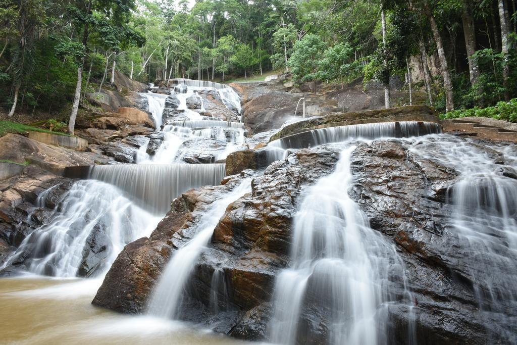 Estacao Verde & Agua Domingos Martins Kültér fotó